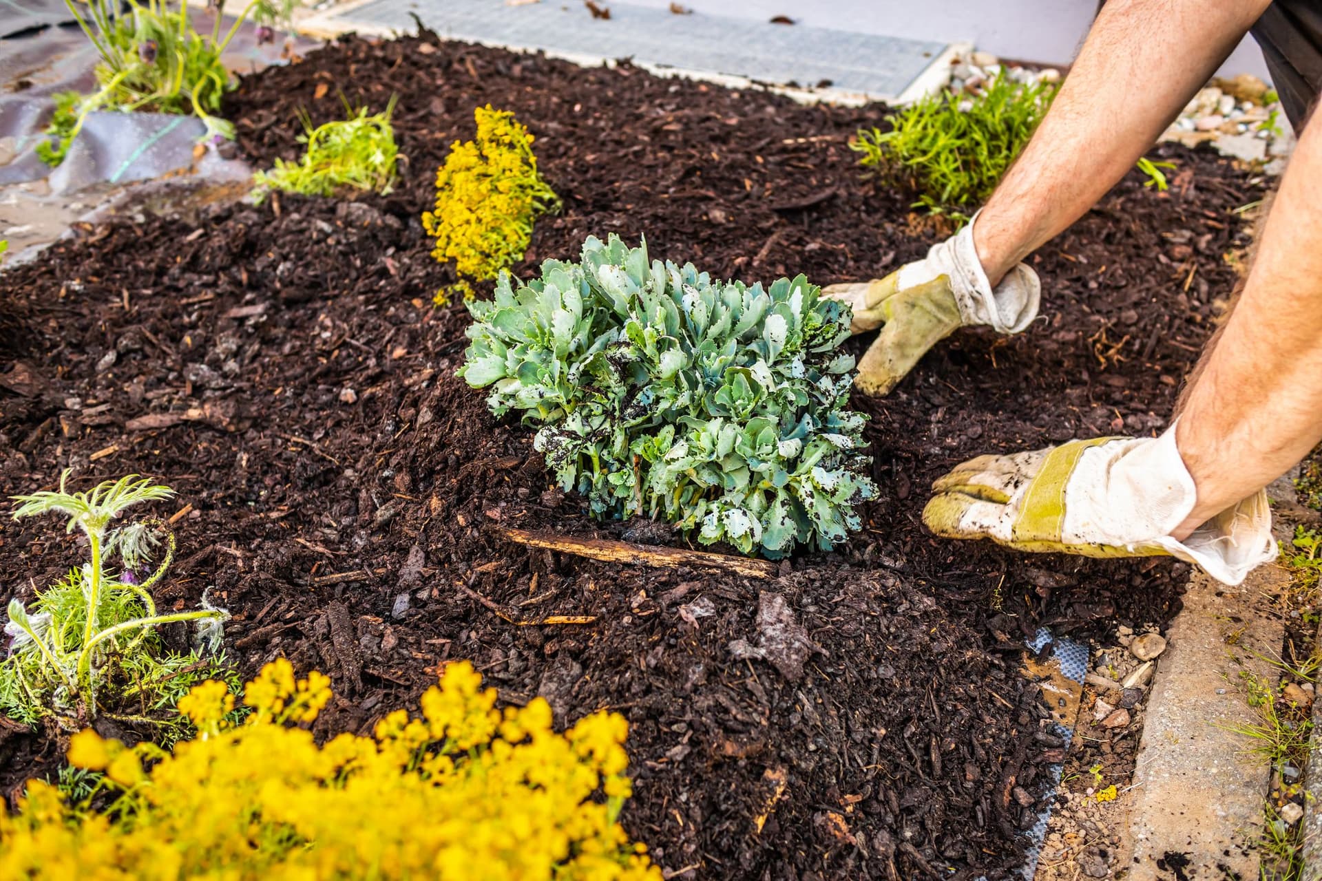 How to Get Free Mulch for Your Pittsburgh Garden